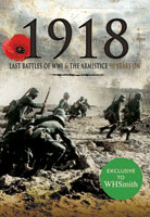 Armistice & the Final Year of the Great War