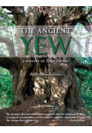 The Ancient Yew