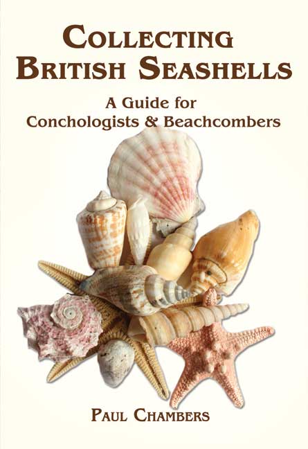 British Seashells