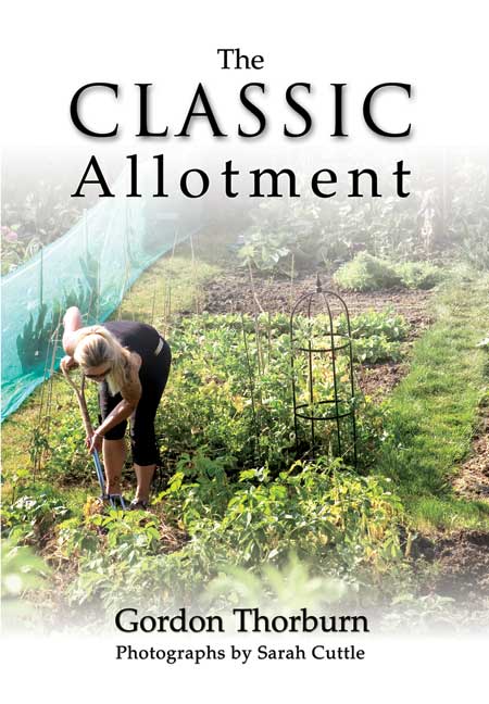 The Classic Allotment