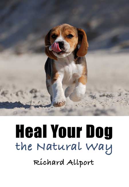 Heal Your Dog the Natural Way