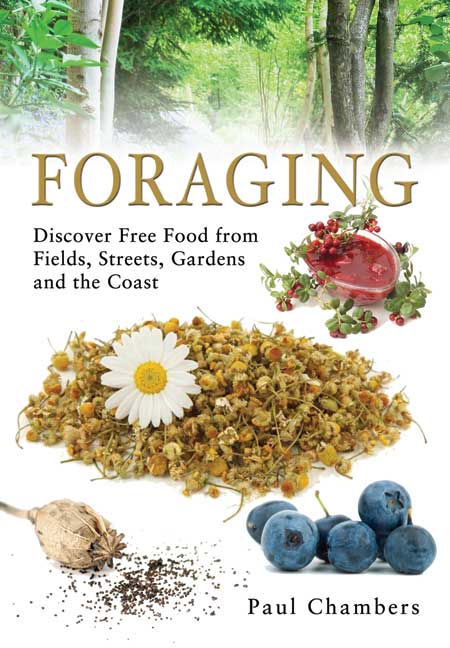 Foraging