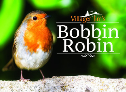 Villager Jim's Bobbin Robin