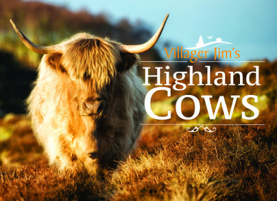 Villager Jim's Highland Cows