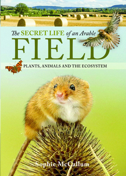 The Secret Life of an Arable Field