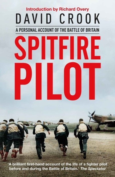 Spitfire Pilot