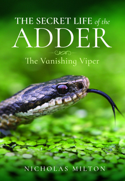 The Secret Life of the Adder