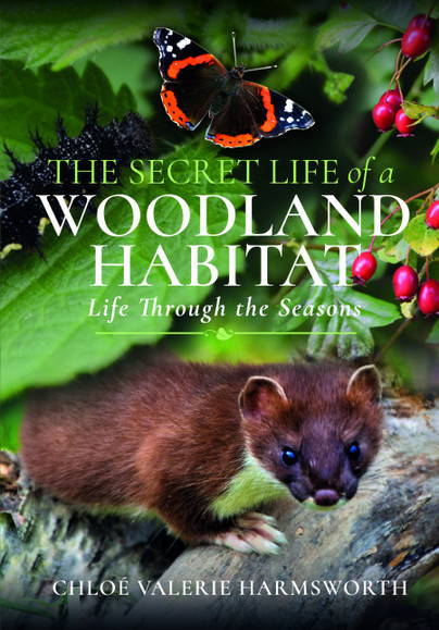 The Secret Life of a Woodland Habitat 