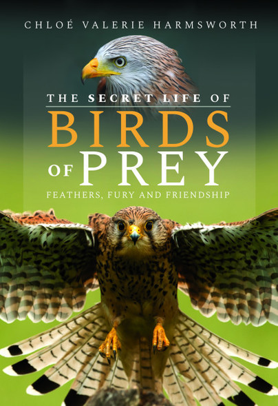 Birds of Prey: A New Meaning To Wine Flights