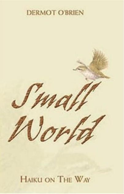 Small World Cover