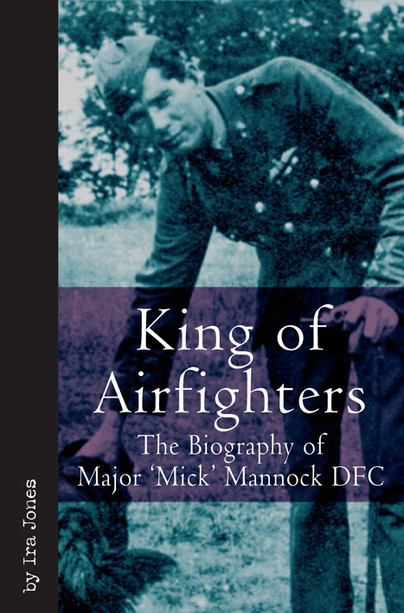 King Of Airfighters Cover