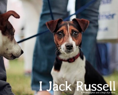 I, Jack Russell: A Photographer and a Dog's Eye View Cover