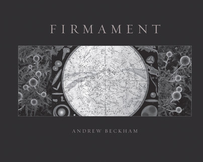 Firmament: Deluxe Edition Cover