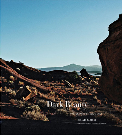 Dark Beauty Cover