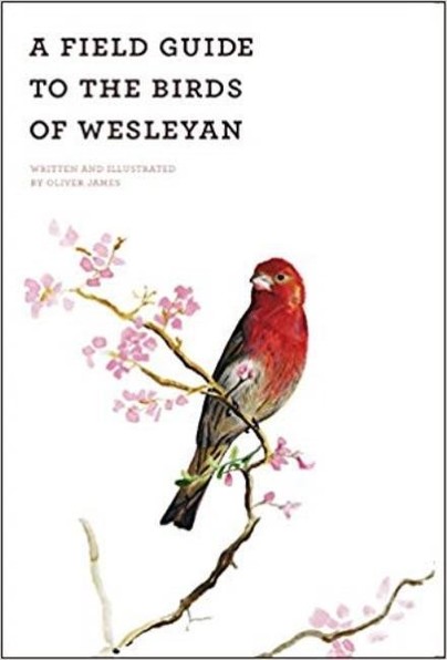 A Field Guide of the Birds of Wesleyan Cover