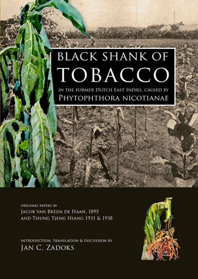 Black Shank of Tobacco in the Former Dutch East Indies, caused by Phytophthora Nicotianae