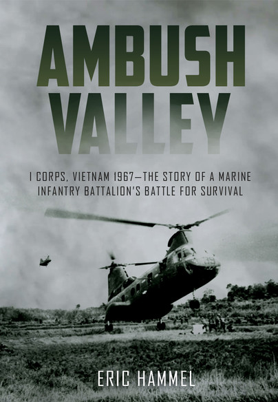 Ambush Valley Cover
