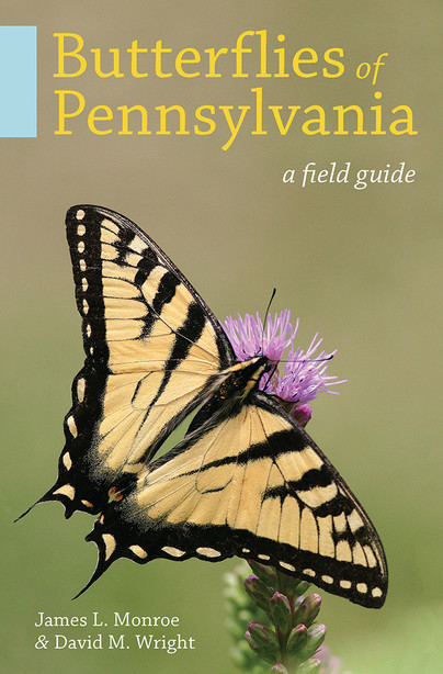 Butterflies of Pennsylvania Cover