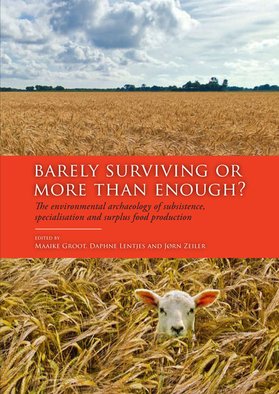 Barely Surviving or More than Enough? Cover