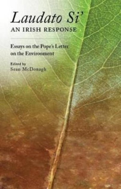 Laudato Si: An Irish Response Cover