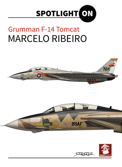 Grumman F-14 Tomcat