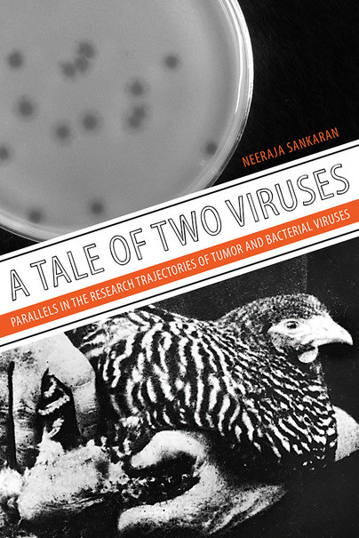 A Tale of Two Viruses