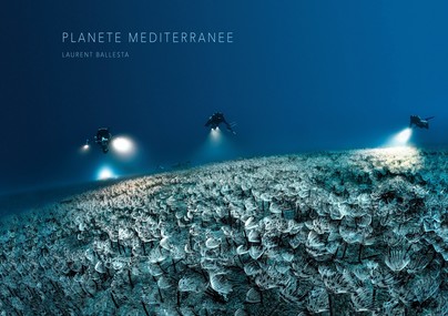 Mediterranean Planet Cover