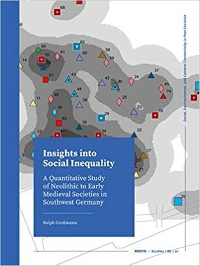 Insights into Social Inequality Cover