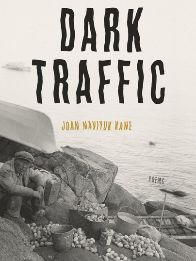 Dark Traffic Cover