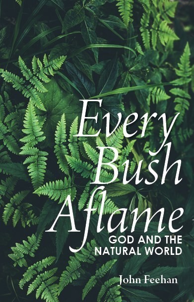 Every Bush Aflame