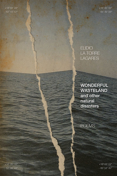 Wonderful Wasteland and other natural disasters Cover