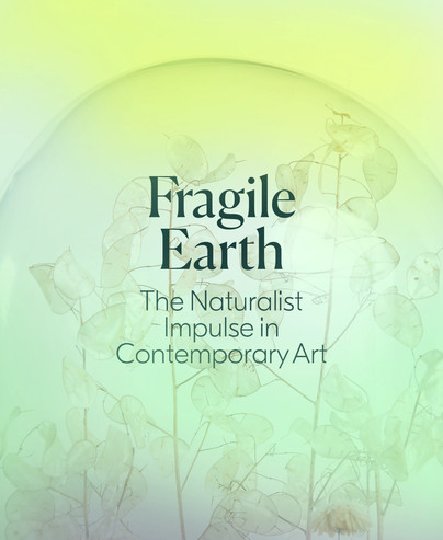 Fragile Earth Cover