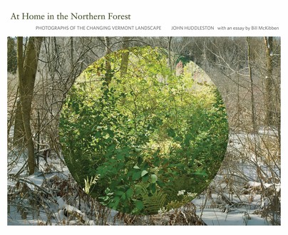 At Home in the Northern Forest Cover
