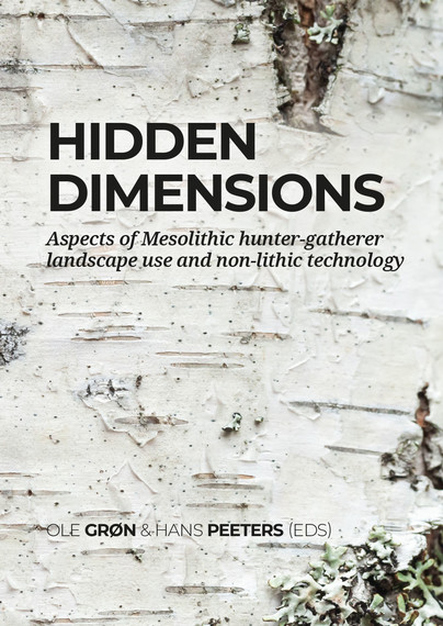 Hidden dimensions Cover