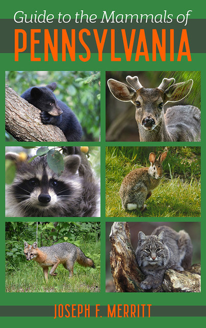 Guide to the Mammals of Pennsylvania Cover