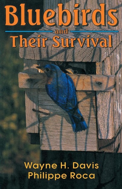 Bluebirds And Their Survival