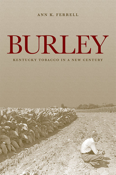 Burley