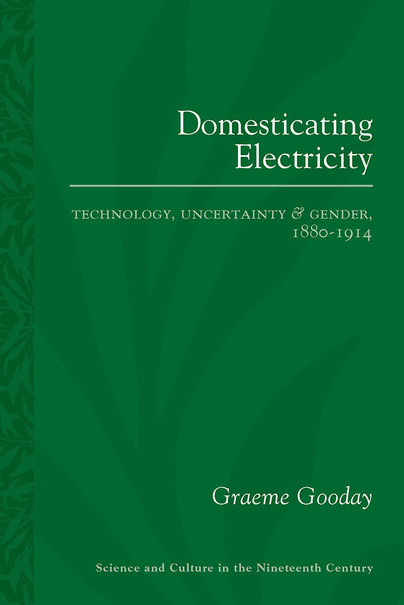 Domesticating Electricity