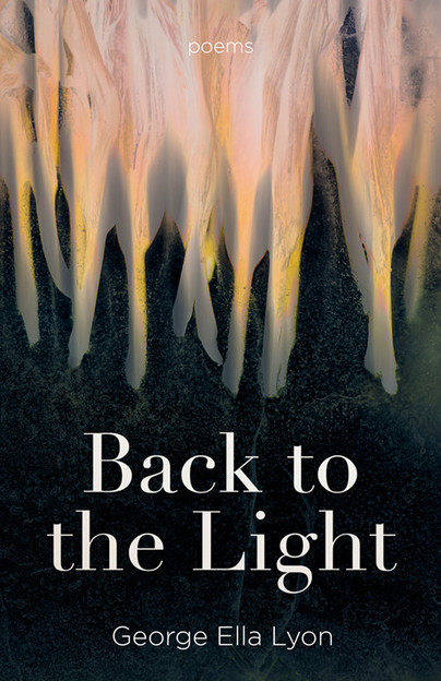Back to the Light Cover