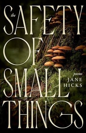 The Safety of Small Things Cover