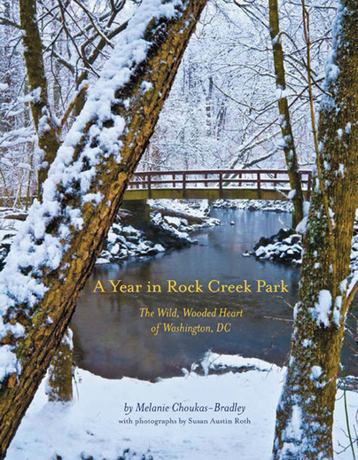 A Year in Rock Creek Park