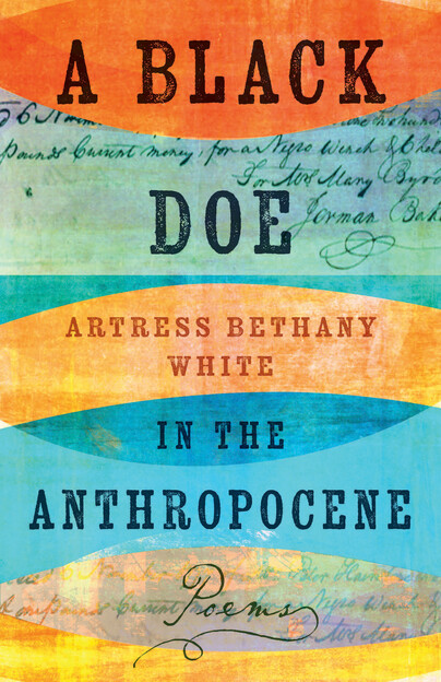A Black Doe in the Anthropocene Cover