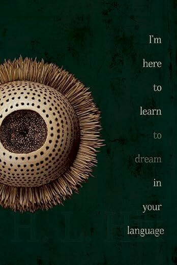 I'm Here to Learn to Dream In Your Language