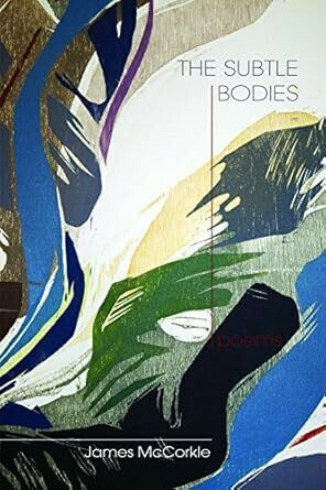 The Subtle Bodies