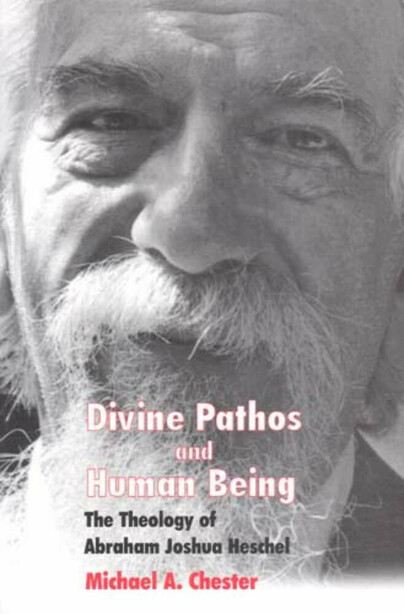 Divine Pathos and Human Being Cover