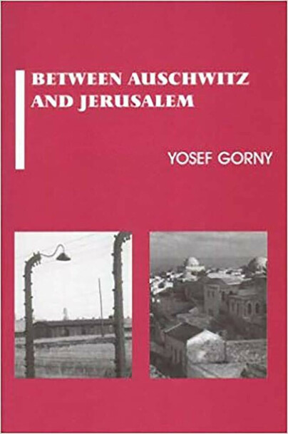 Between Auschwitz and Jerusalem Cover