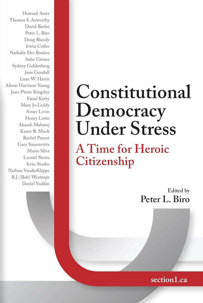 Constitutional Democracy Under Stress Cover
