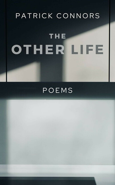 The Other Life Cover