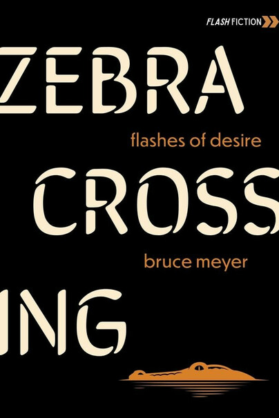 Zebra Crossing Cover