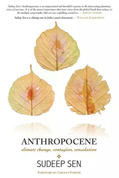 Anthropocene